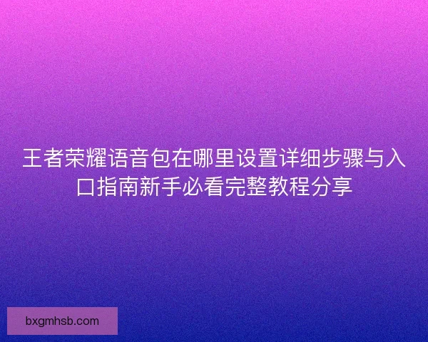 王者荣耀语音包在哪里设置详细步骤与入口指南新手必看完整教程分享